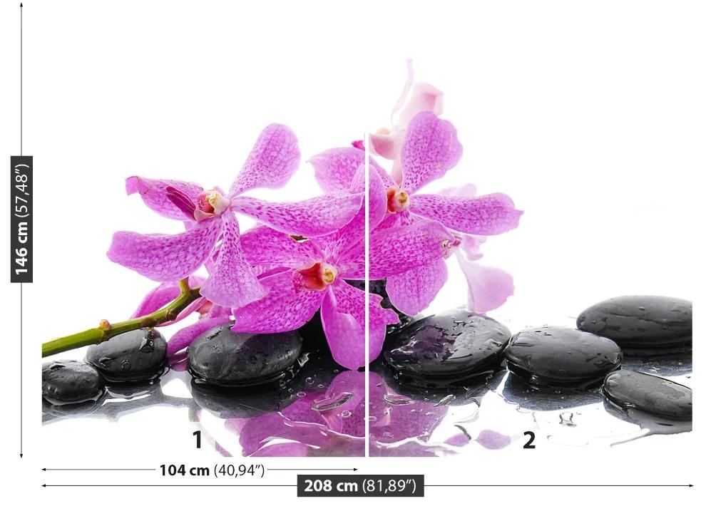 Fotótapéta rózsaszín orchidea 104x70 cm