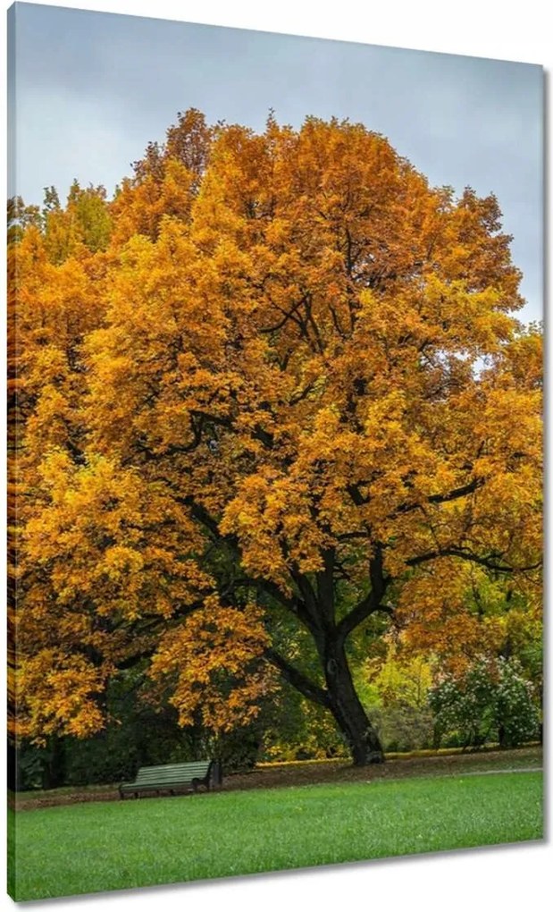 Festmények 70x100 Fa