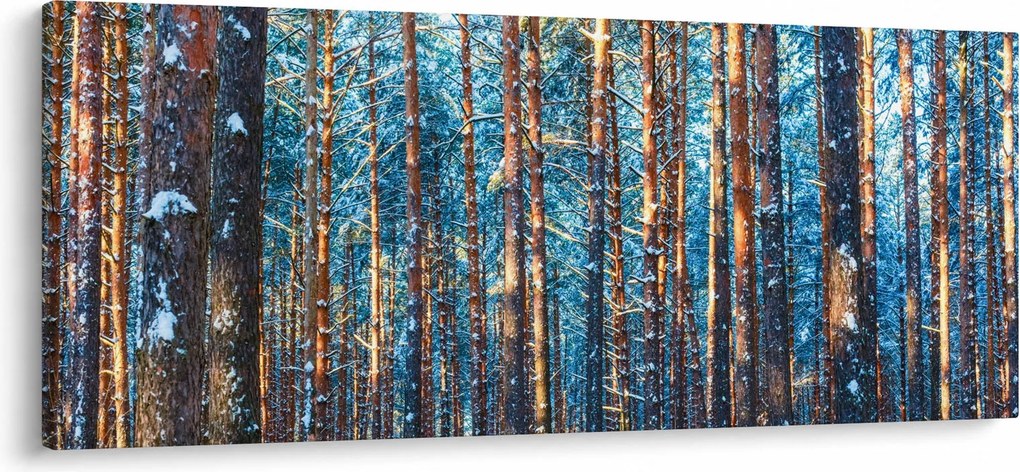 Kép - téli erdő (120x50 cm)