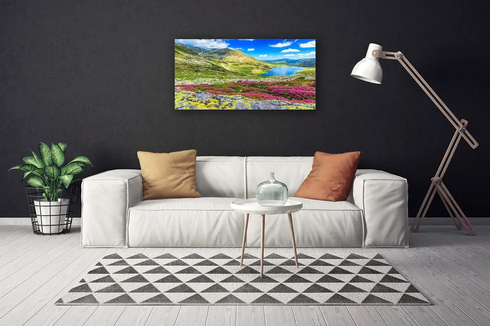 Vászonkép nyomtatás Top Bay Mező Természet 100x50 cm
