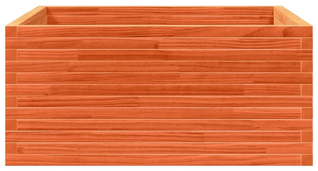 viaszbarna tömör fenyőfa kerti virágláda 100 x 100 x 46 cm