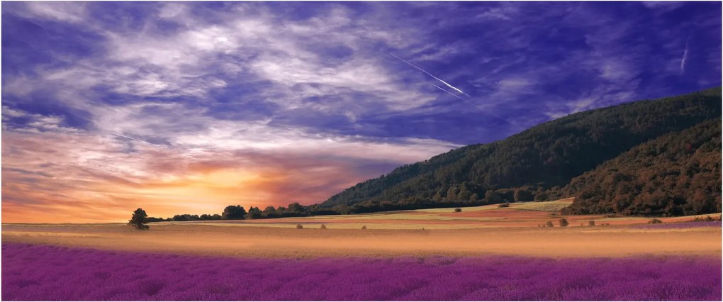 A levendula rét képe (120x50 cm)