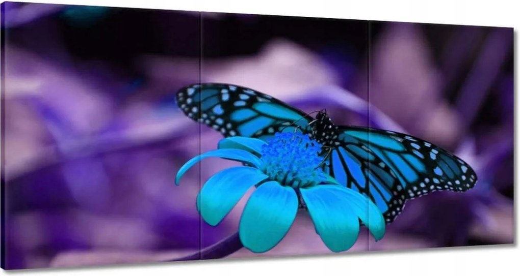 Vászonkép 180x90 Kék pillangó