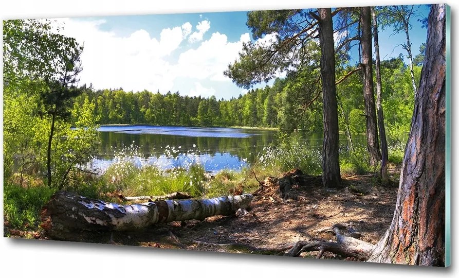 Fotó üvegfestmény Út Ausztráliában 125x50