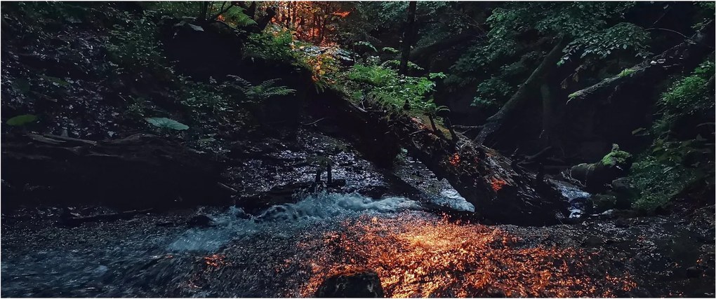 Hegyi folyó képe (120x50 cm)