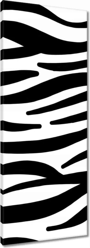 Vászonkép 40x100 Zebra csíkok