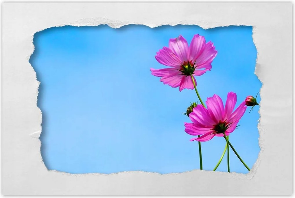 Poszterek 90x60 Kozmikus virágok