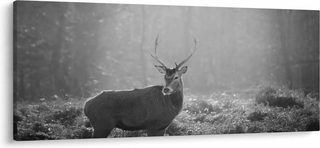 Kép - Szarvas az erdőben, fekete-fehér (120x50 cm)