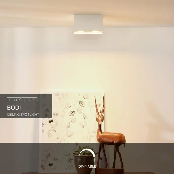 Lucide 09101/02/31 - Spotlámpa BODI 2xGU10/50W/230V