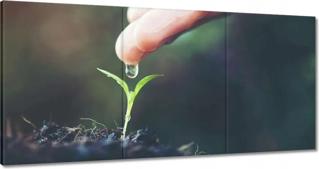 Vászonkép 180x90 Palánta növény csepp