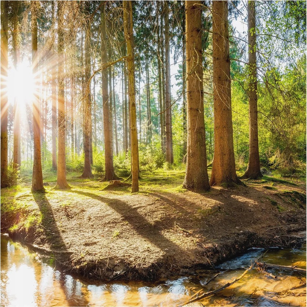 Flizelin tapéta Divatos 3D fali ragasztó Erdei idill 250x250 ragasztó