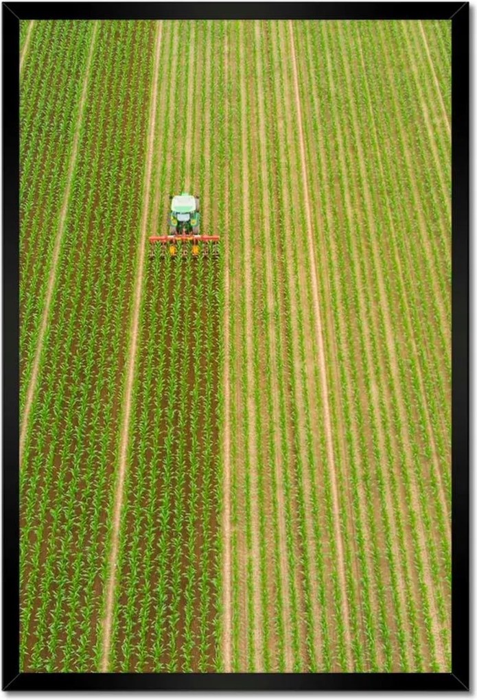 Poszterek keretben 40x60 Mezőgazdaság