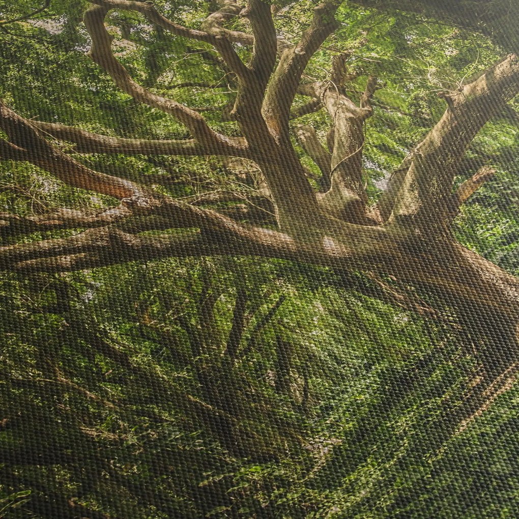 Fa képe (90x60 cm)