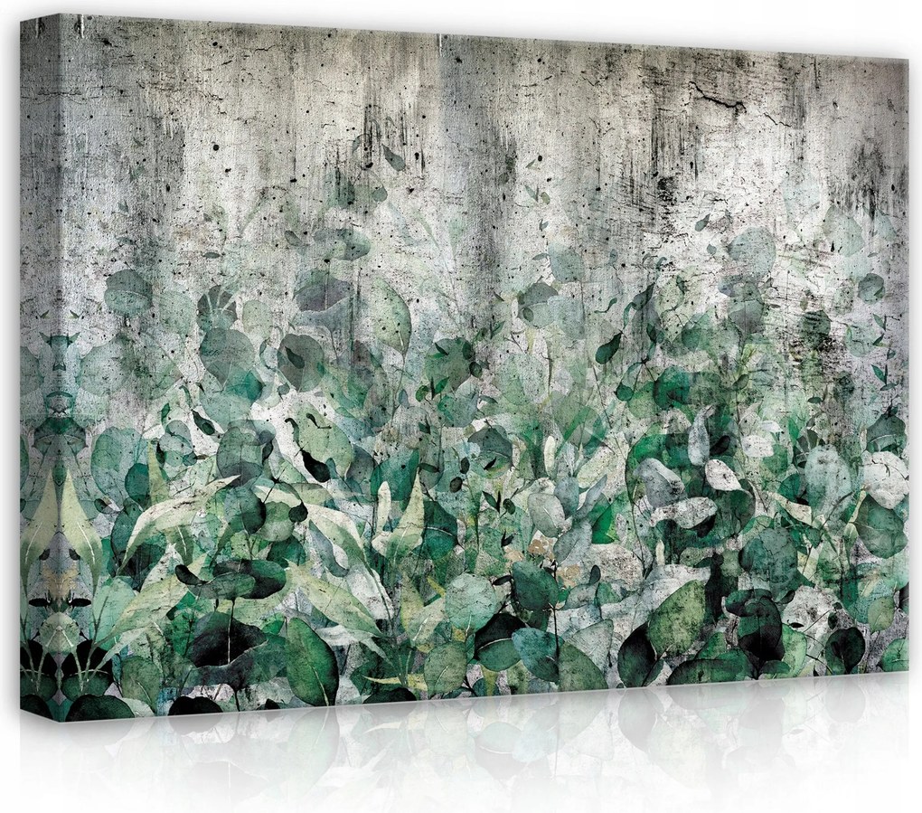 Vászonkép 70x50 Zöld levelek beton természet nyugalom frissesség minimalizmus