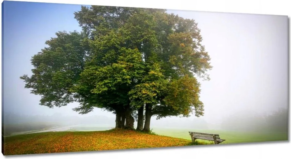 Vászonkép 115x55 Tájkép paddal Fa