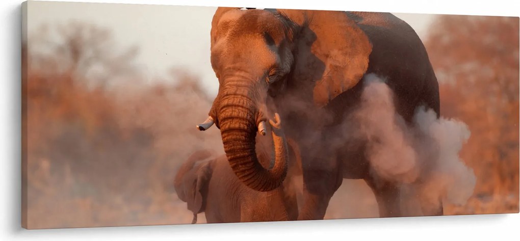 Kép - Nagy afrikai elefánt (120x50 cm)