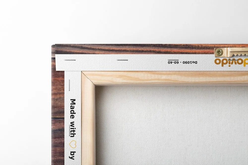 Kép világtérkép fa hatású háttéren