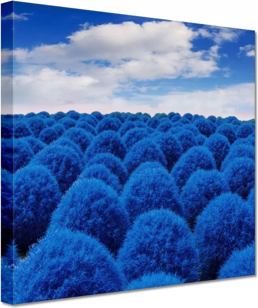 Festmények 20x20 Klasszikus kék színben