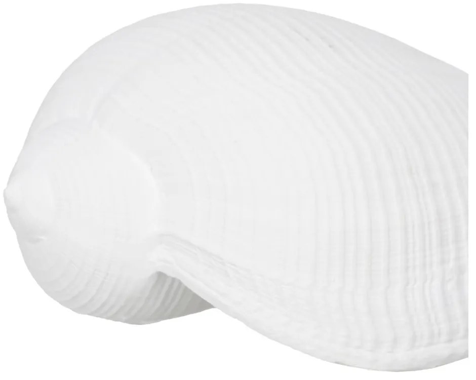 Poligyanta szobor (magasság 5 cm) Seashell – Ixia