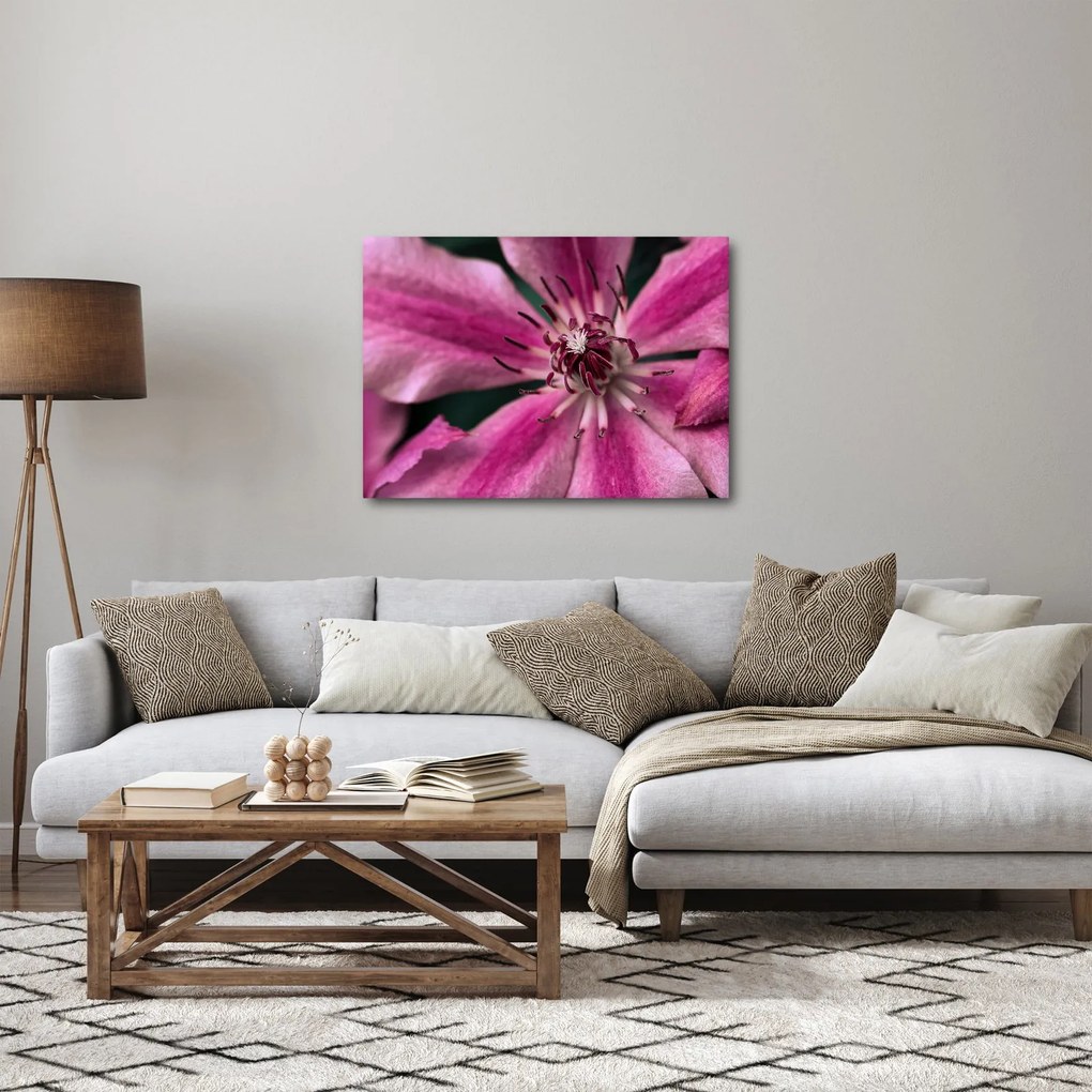 Rózsaszín flamingóvirág képe (70x50 cm)