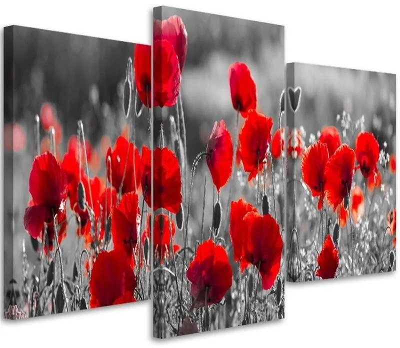 Gario Vászonkép Vörös pipacsok fekete-fehér réten - 3 részes Méret: 120 x 80 cm
