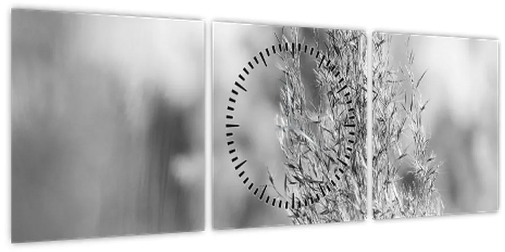 Kép - Boho pampafű (órával) (90x30 cm)