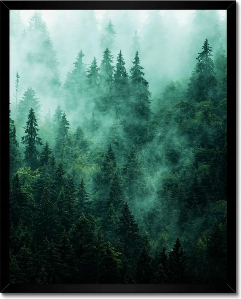 Poszter fekete keretben 40x50 Erdő Köd Tájkép Utazás