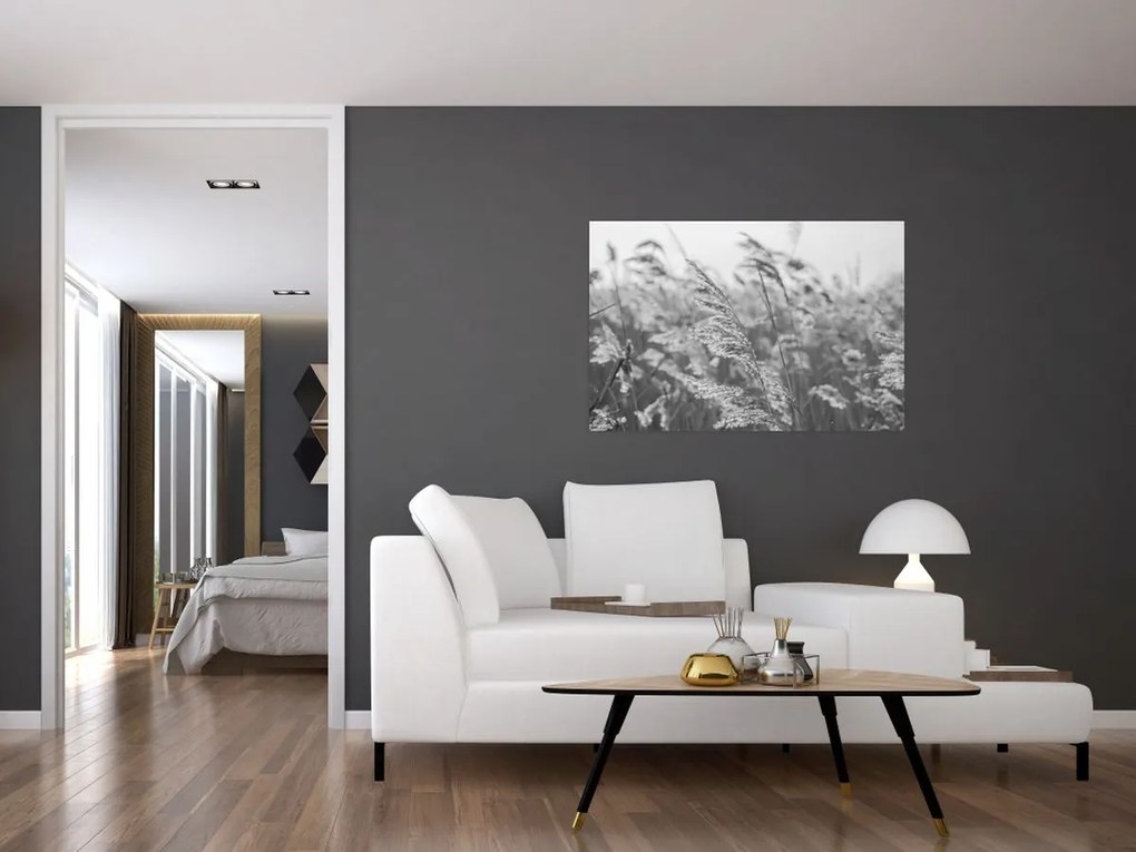 Kép - Fű a szélben (90x60 cm)