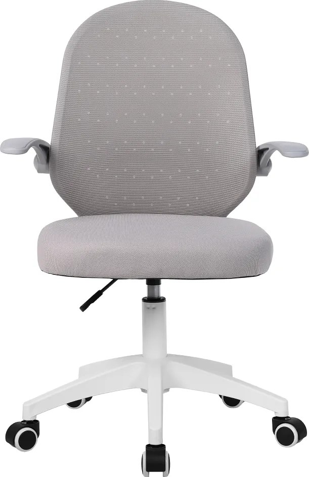Irodai szék, szürke/fehér, PASTURA