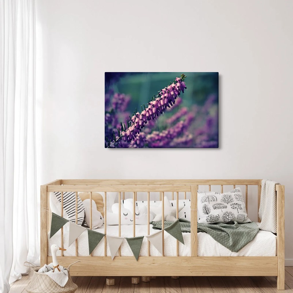 Levandula képe (90x60 cm)