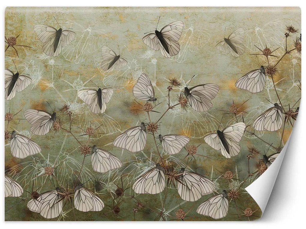 Gario Fotótapéta Pillangók egy régi fal hátterében Anyag: Vlies, Méret: 150 x 105 cm