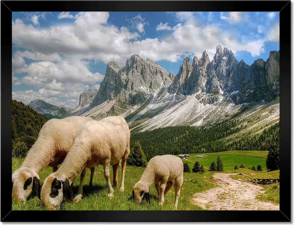 Poszterek keretben 40x30 Hegyek Juh legeltetés