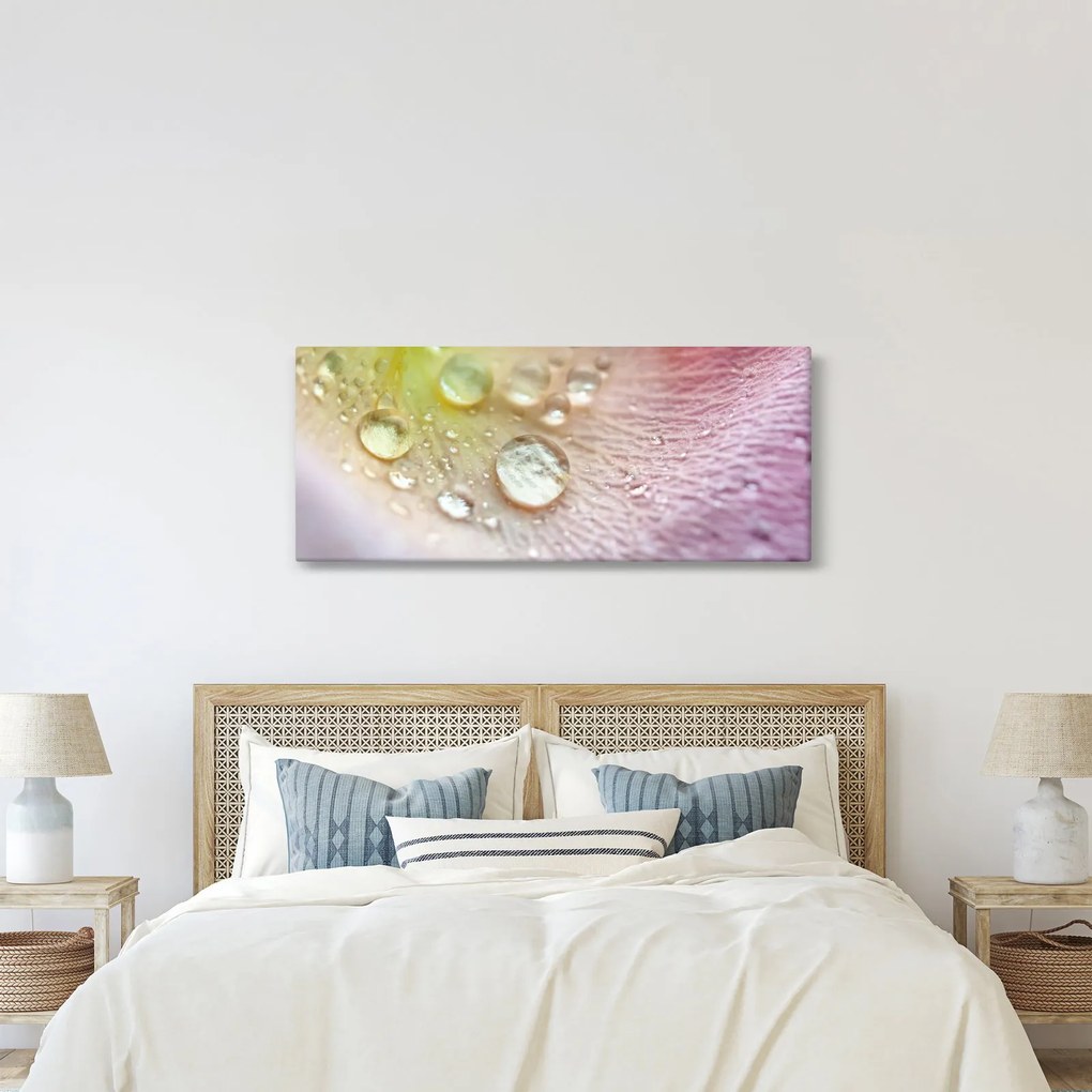 Kép - Harmatcseppek (120x50 cm)