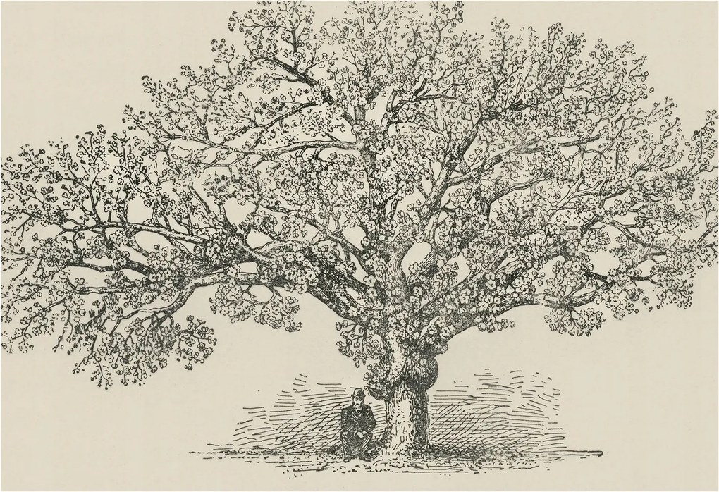 Fotótapéta Falra az előszoba konyhájába Fa illusztráció 152x104 Ragasztó