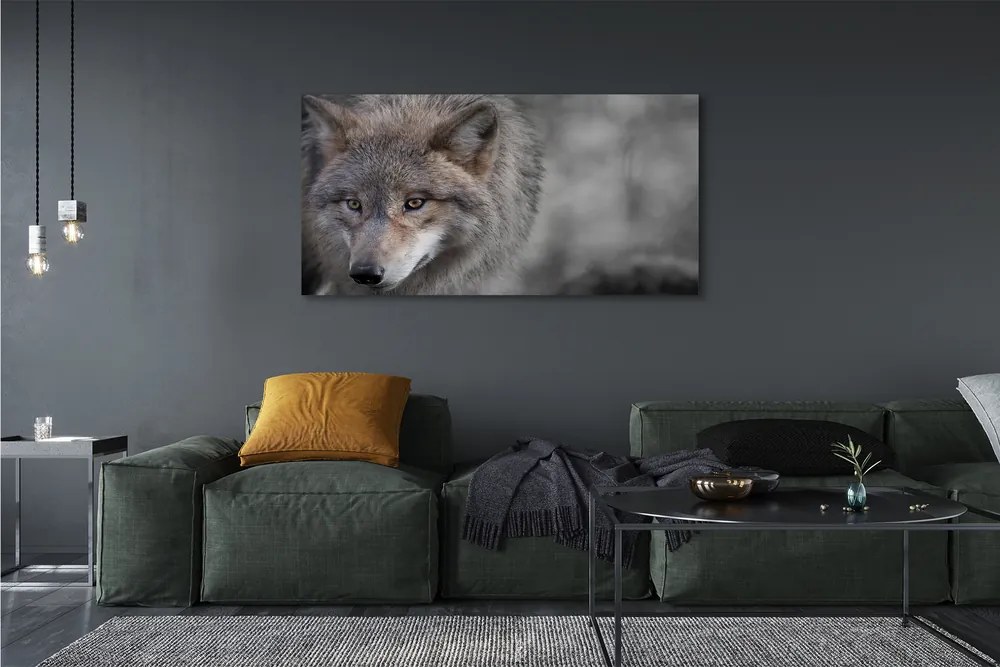 Canvas képek Farkas 125x50 cm