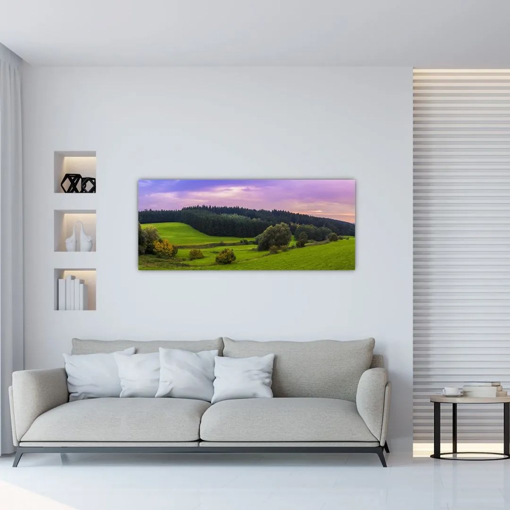 Rét képe (120x50 cm)