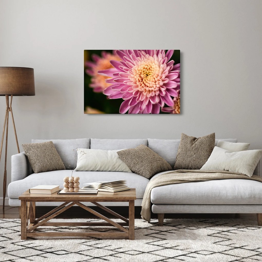 Részletes virágkép (90x60 cm)
