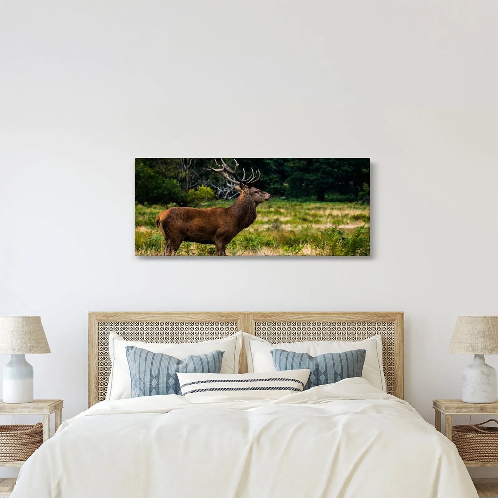 Szarvas képe (120x50 cm)