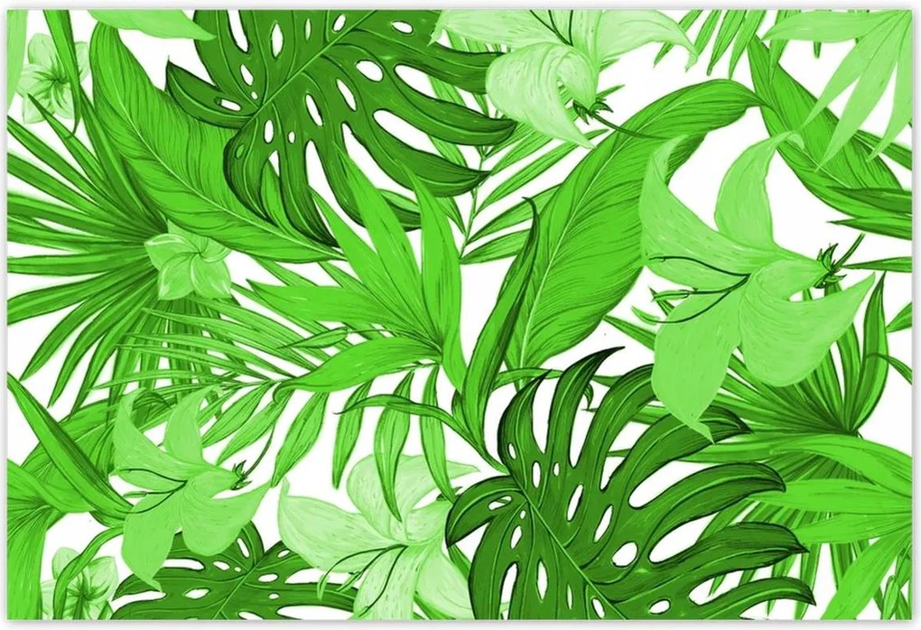 Poszterek 185x125 Leaves Monstera New look