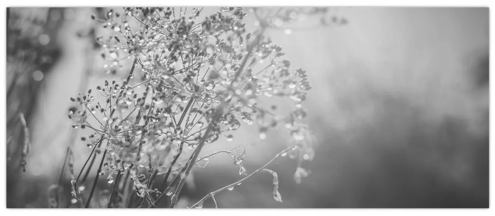 Kép - Mező az eső után (120x50 cm)