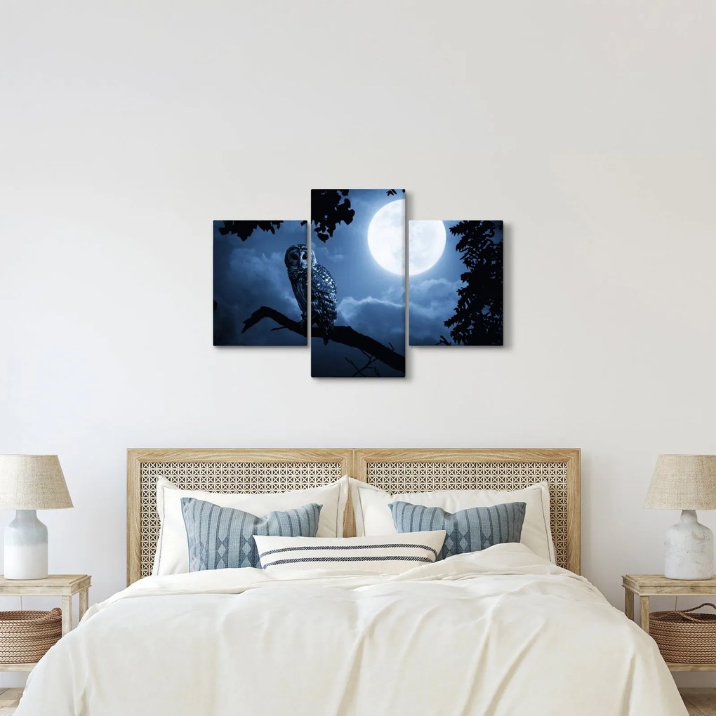 Kép - Éjszakai bagoly (90x60 cm)