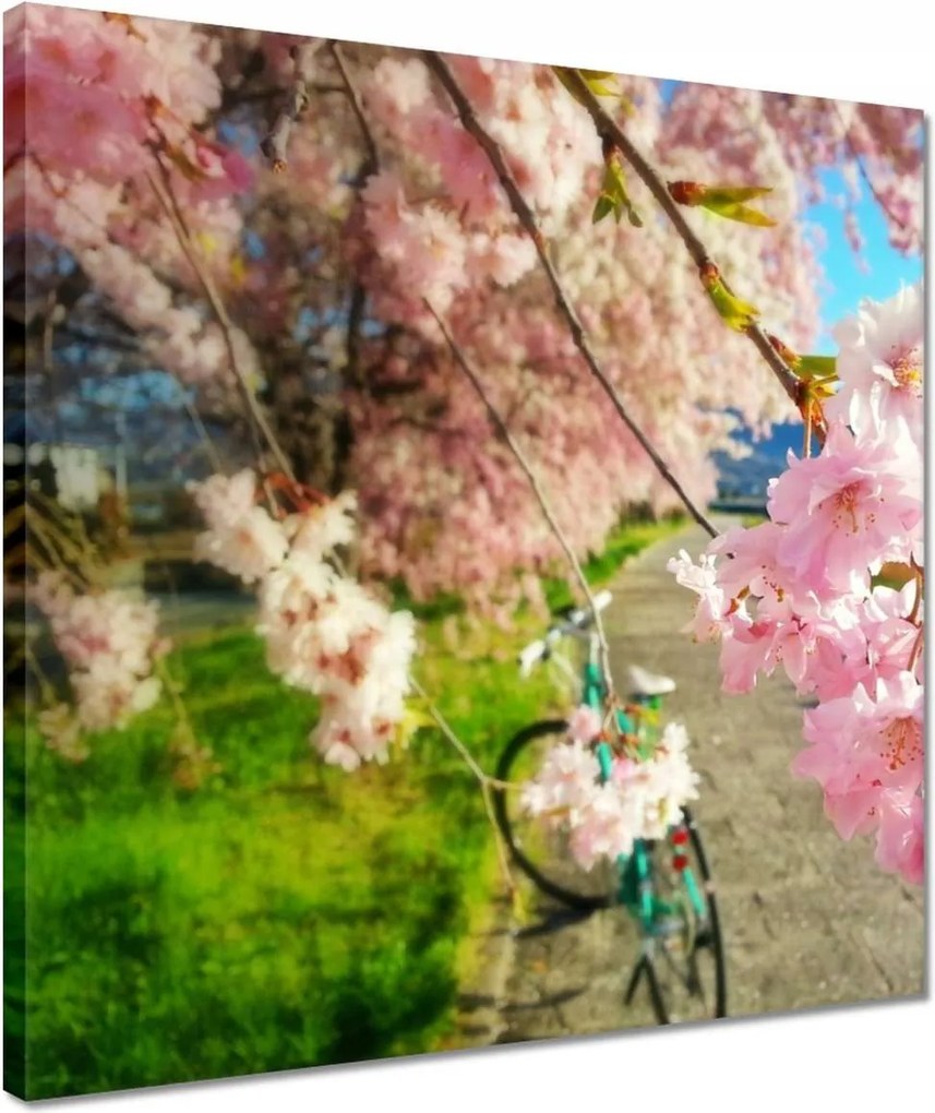 Vászonkép 40x40 Kerékpáros túra