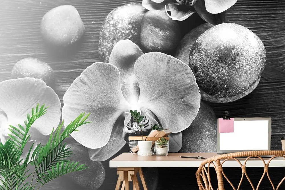 Öntapadó fotótapéta orchidea és kövek fekete-fehérben