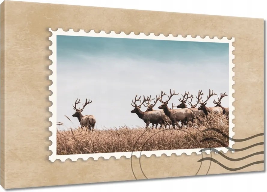 Vászonkép 120x80 Szarvasok felhője