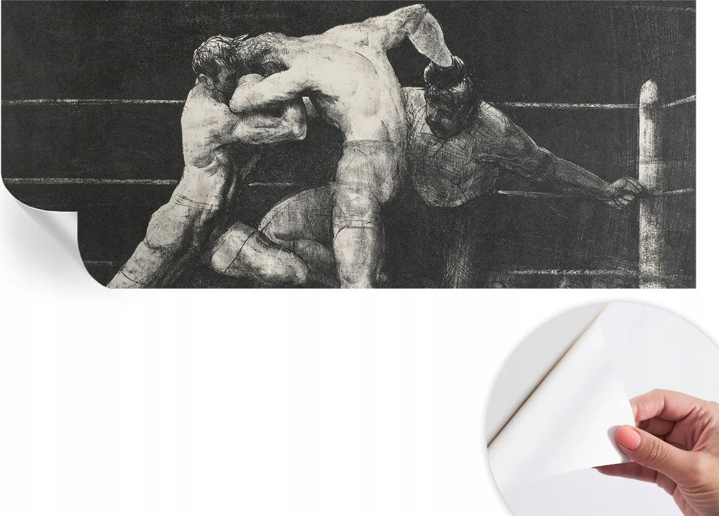 Fotótapéta Fali tapéta Hálószobába és Nappaliba Boxer párbaj 250x104