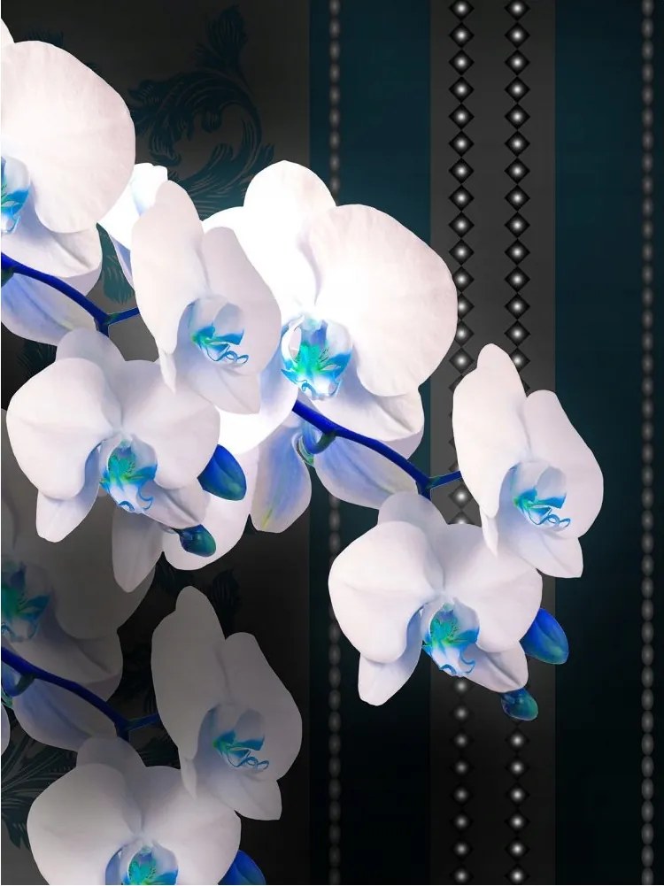 Fotótapéta Fehér orchideák Elegancia és stílus a falon 206x275 +ragasztó