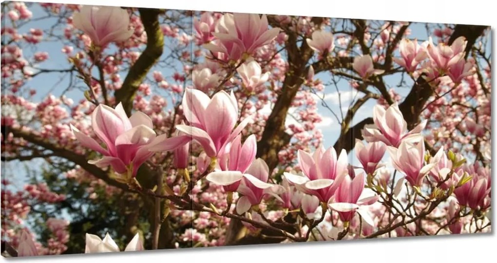 Vászonkép 120x60 Magnólia Virágok Kék
