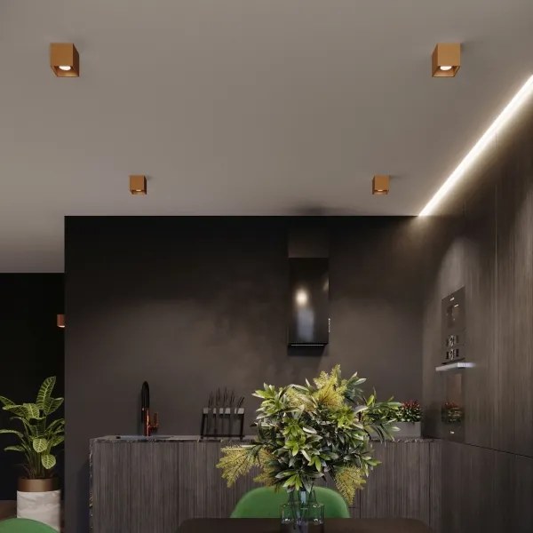 Sollux Sl.1183 - Fali spotlámpa QUAD 1xG9/8W/230V arany