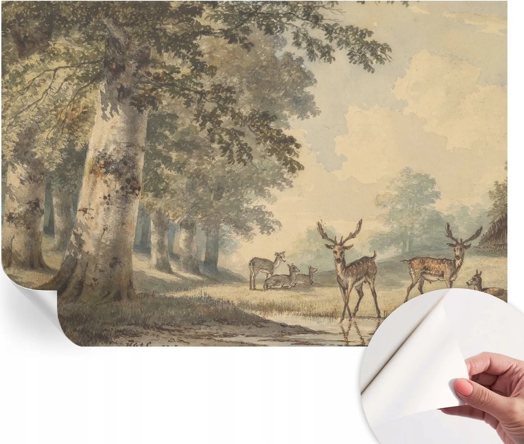 Dekoratív öntapadós fotótapéta Hálószobába Erdei nyugalom 152x104 cm