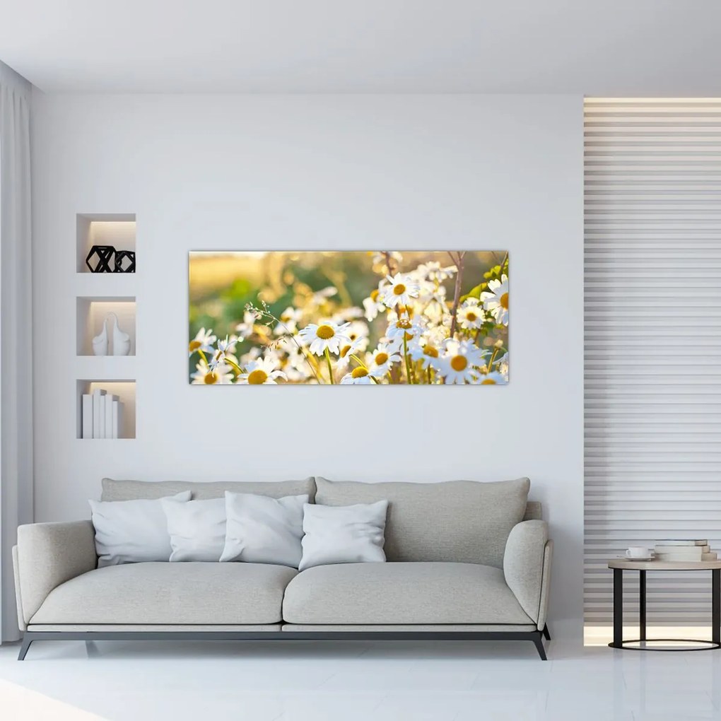 Kép - Százszorszépek (120x50 cm)